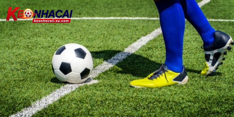 Cách sử dụng tối đa thông tin mà Livescore mang lại