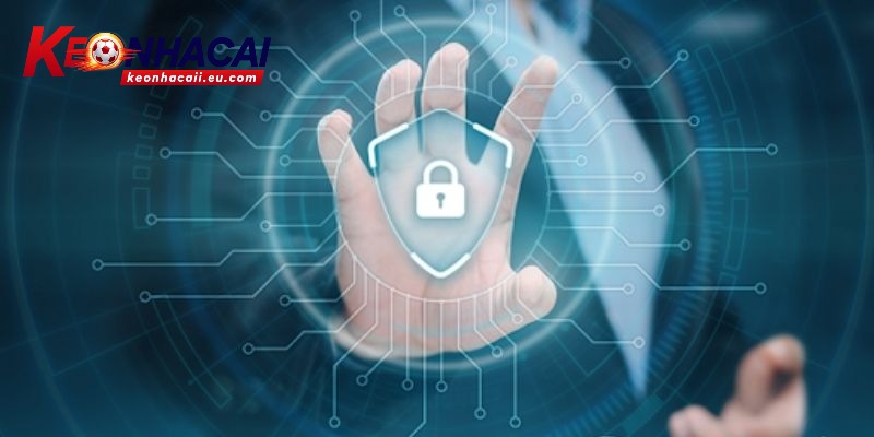 Tầm quan trọng của điều khoản sử dụng trong khi tham gia Kèo nhà cái