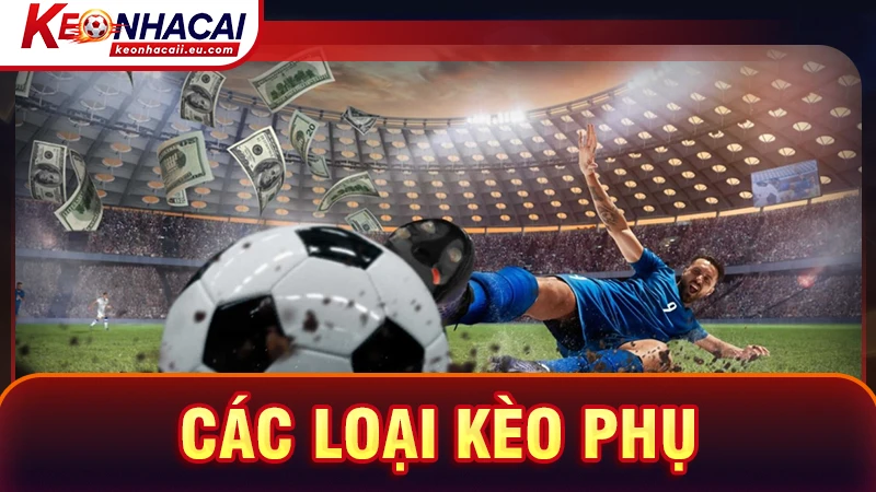 Các loại kèo phụ cũng được cung cấp đầy đủ tại jmect.in